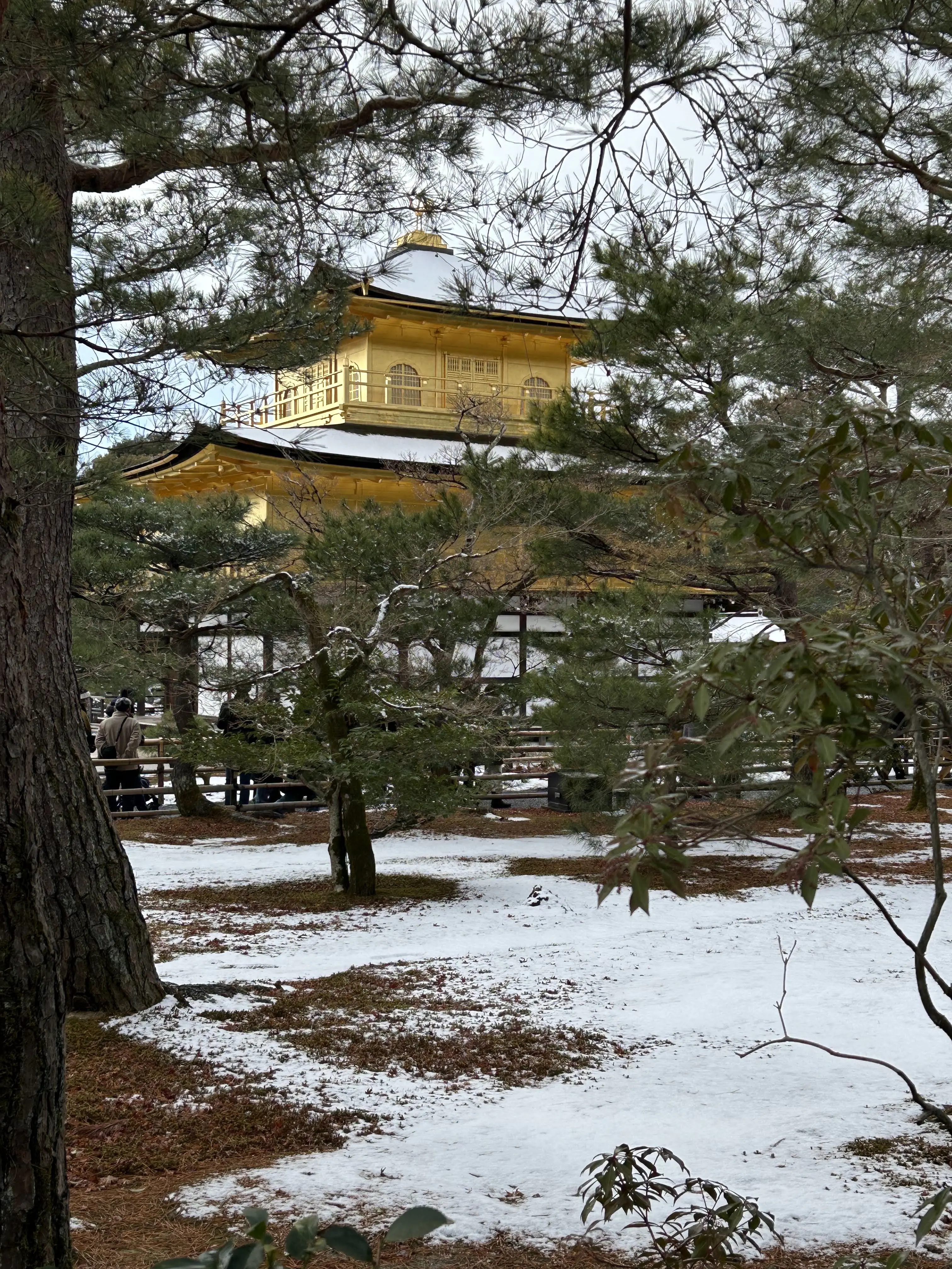 金閣寺